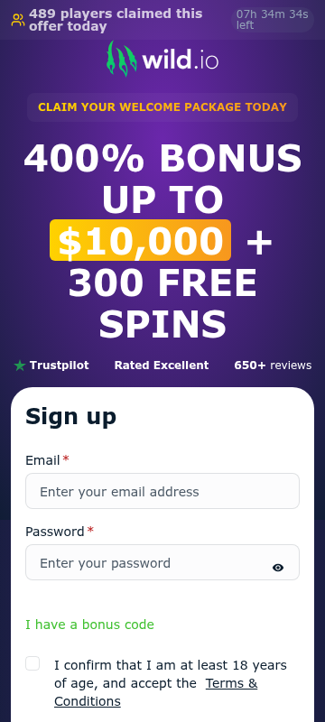 Wild.io mobile casino screenshot
